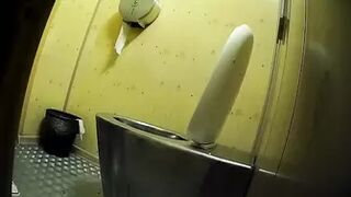 PublictoiletSL74 vol 536