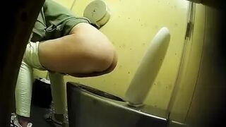 PublictoiletSL74 vol 532