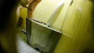 PublictoiletSL74 vol 530