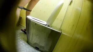 PublictoiletSL74 vol 529
