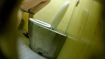 PublictoiletSL74 vol 529