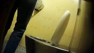 PublictoiletSL74 vol 526