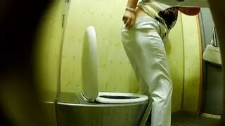 PublictoiletSL74 vol 521