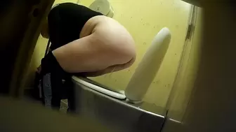 PublictoiletSL74 vol 516