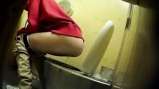 PublictoiletSL74 vol 511