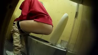 PublictoiletSL74 vol 511