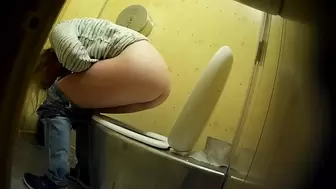 PublictoiletSL74 vol 508