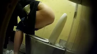 PublictoiletSL74 vol 507