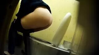 PublictoiletSL74 vol 501