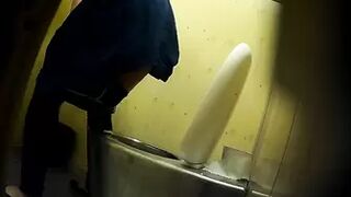 PublictoiletSL74 vol 501