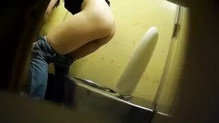 PublictoiletSL74 vol 500