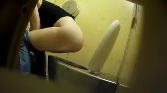 PublictoiletSL74 vol 500