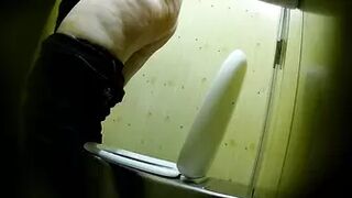 PublictoiletSL74 vol 499