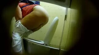 PublictoiletSL74 vol 498