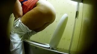 PublictoiletSL74 vol 498