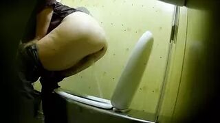 PublictoiletSL74 vol 497