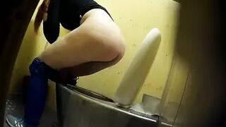PublictoiletSL74 vol 495