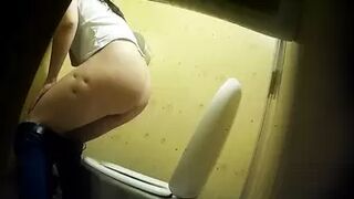 PublictoiletSL74 vol 492