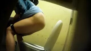 PublictoiletSL74 vol 491