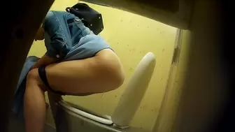 PublictoiletSL74 vol 491