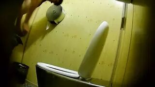 PublictoiletSL74 vol 490