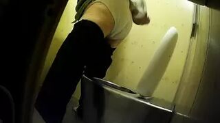 PublictoiletSL74 vol 486
