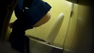 PublictoiletSL74 vol 480