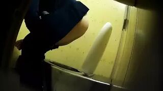 PublictoiletSL74 vol 480