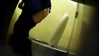 PublictoiletSL74 vol 480