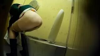 PublictoiletSL74 vol 458