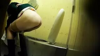 PublictoiletSL74 vol 458