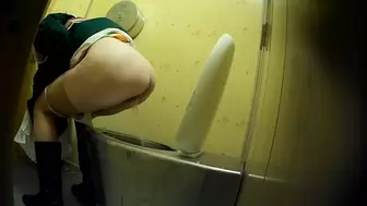 PublictoiletSL74 vol 458