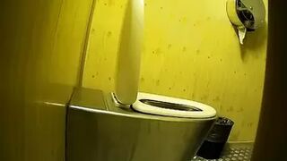 PublictoiletSL74 vol 455