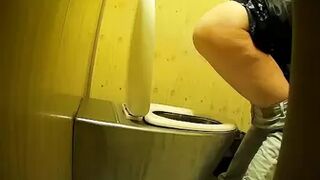PublictoiletSL74 vol 451