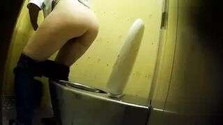 PublictoiletSL74 vol 450