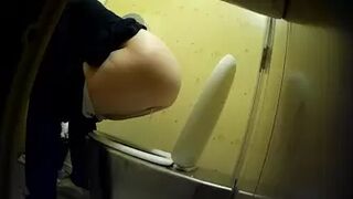 PublictoiletSL74 vol 442