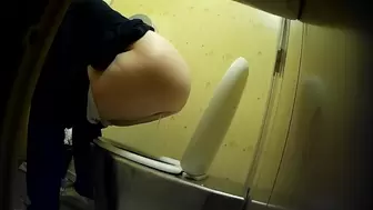 PublictoiletSL74 vol 442