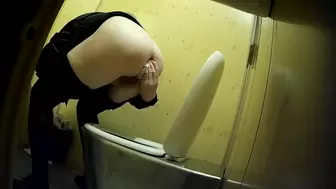 PublictoiletSL74 vol 440