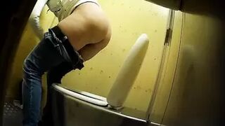 PublictoiletSL74 vol 438