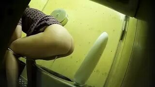 PublictoiletSL74 vol 435