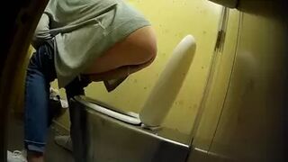 PublictoiletSL74 vol 426