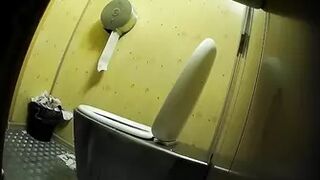 PublictoiletSL74 vol 426