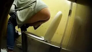 PublictoiletSL74 vol 426