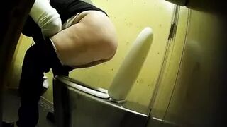 PublictoiletSL74 vol 419