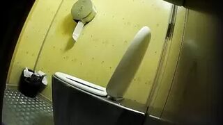 PublictoiletSL74 vol 418