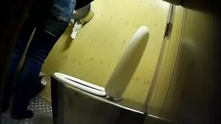 PublictoiletSL74 vol 418