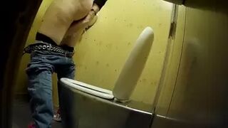 PublictoiletSL74 vol 413