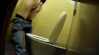 PublictoiletSL74 vol 413