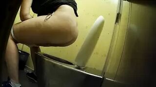 PublictoiletSL74 vol 412