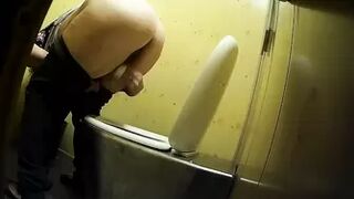 PublictoiletSL74 vol 410